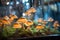 Forest wild season green nature wood closeup autumn background mushroom toadstool macro