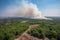 Forest in wildfire caused the intense summer heat