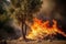 Forest in wildfire caused the intense summer heat