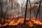A forest in a wildfire and dense smoke. Dangerous fire in a jungle with dark orange flame. Tree burning in a wildfire and creating