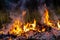 Forest wildfire at night whole area covered by flame and clouds of dark smoke. Distorted details due high temperature and