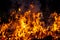 Forest wildfire at night whole area covered by flame and clouds of dark smoke. Distorted details due high temperature and
