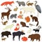 Forest Wildlife Isolated objects Animals