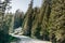 Forest winding road in Sequoia National Park, California, USA