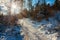 Forest in winter with snowy pathway and sunbeam