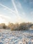 Forest in winter under clouds /sunset in the winter forest