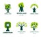 Forest or woodland isolated icon tree ecology and clean environment vector trunk and leaves