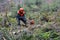 Forest worker, lumberjack