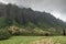 Forested flanks to high cliffs bordering Kualoa valley , Oahu, Hawaii, USA