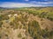 Forested hills in Adelong.