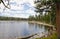 Forested lake shoreline