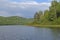 Forested Lake on a Sunny Day