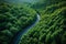 Forested landscape unfolds beneath as a sinuous road curves gracefully