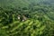 Forested mountain landscape