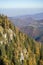 Forested mountain ridges of the Carpathian mountains