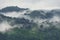 Forested mountain slope in low lying cloud with the evergreen co