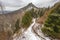 forested mountain, with a winding trail through the trees and snow