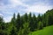 Forested mountains in a scenic landscape view Forested hill in a scenic landscape view