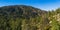 Forested Mountaintops in Southern California