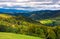 Forested rolling hill on a cloudy day