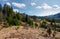 Forested rolling hills in springtime