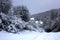 Forester`s cottage in a snowy forest in winter. The huntsman`s house among the trees covered with snow in the winter