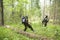 Foresters patrolling the forest.