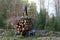 Forestry forwarder Stacks Up Wood