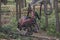 Forestry harvester during a job among trees