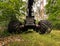 forestry harvester during a stoppage among trees in the fores