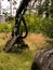 forestry harvester during a stoppage among trees in the fores