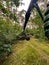 forestry harvester during a stoppage among trees in the fores