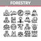 Forestry Lumberjack Collection Icons Set Vector