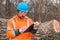 Forestry technician collecting data notes in forest