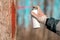 Forestry technician marking tree trunk for cutting in deforestation process