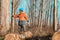 Forestry technician marking tree trunk for cutting in deforestation process