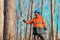 Forestry technician marking tree trunk for cutting in deforestation process