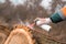 Forestry technician marking tree trunk with red aerosol can paint