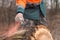 Forestry technician marking tree trunk with red aerosol can paint