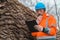 Forestry technician reading notes on clipboard notepad paper in forest