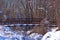 Forestry winter landscape with a pedestrian bridge.