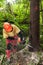 Forestry worker cutting down spruce tree marked for felling