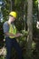 Forestry Worker, Man Working in Woods