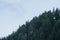 Forests in the Andorra Mountains in the Pyrenees