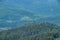 Forests on a hills of Carpathians