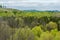 Forests and Hills near Black River Falls