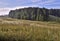 Forests and meadows in the Siberian hills