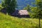 Among the forests and mountains on the lawn there is an old abandoned wooden hut.