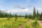 Forests and mountains of the Southern Urals near the village of Tyulyuk in Russia. Drone view.