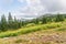 Forests and mountains of the Southern Urals near the village of Tyulyuk in Russia. Drone view.